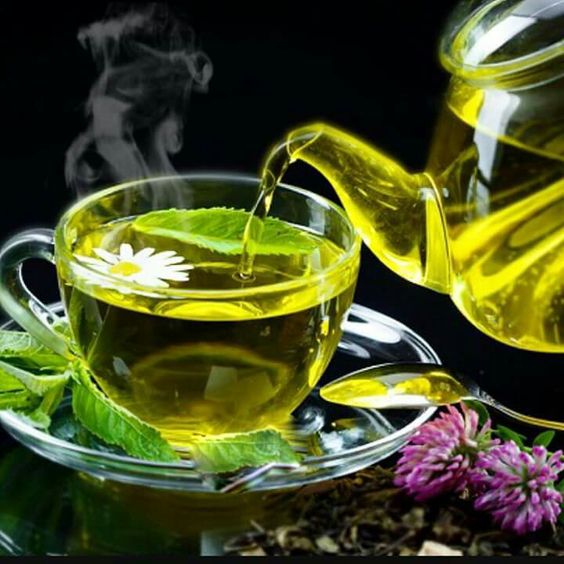 trà tăng sức đề kháng, trà xanh tăng sức đề kháng, các loại trà tăng sức đề kháng, cách pha các loại trà tăng sức đề kháng, cách pha trà tăng sức đề kháng, cách uống trà tăng sức đề kháng,